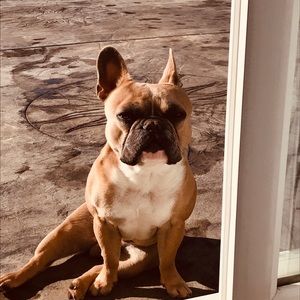 Meet your Posher, Megan